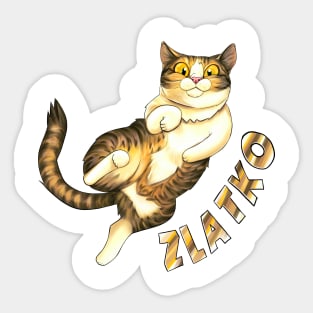 Zlatko's Merch with name on Sticker